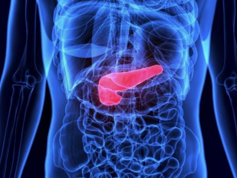 Фото знімок КТ підшлункової залози здорової людини (норма)