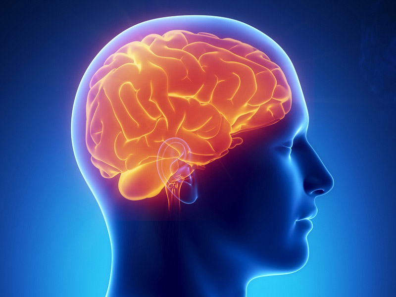 Фото знімок КТ головного мозку здорової людини (норма)