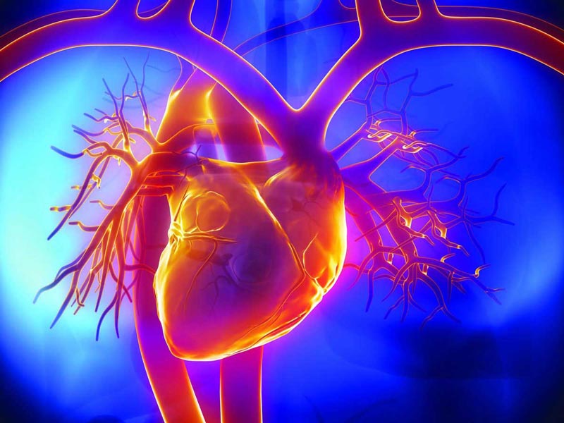 Фото: Аномалія на знімку КТ коронарографія серця