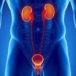 КТ сечовивідної системи в Києві